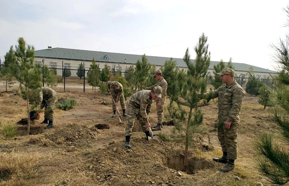 Azərbaycan Ordusunda ağacəkmə aksiyası keçirilir - FOTO