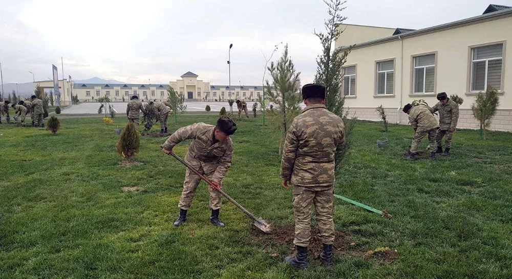 Azərbaycan Ordusunda ağacəkmə aksiyası keçirilir - FOTO