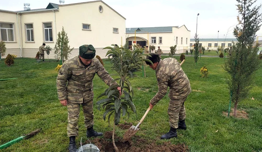 Azərbaycan Ordusunda ağacəkmə aksiyası keçirilir - FOTO