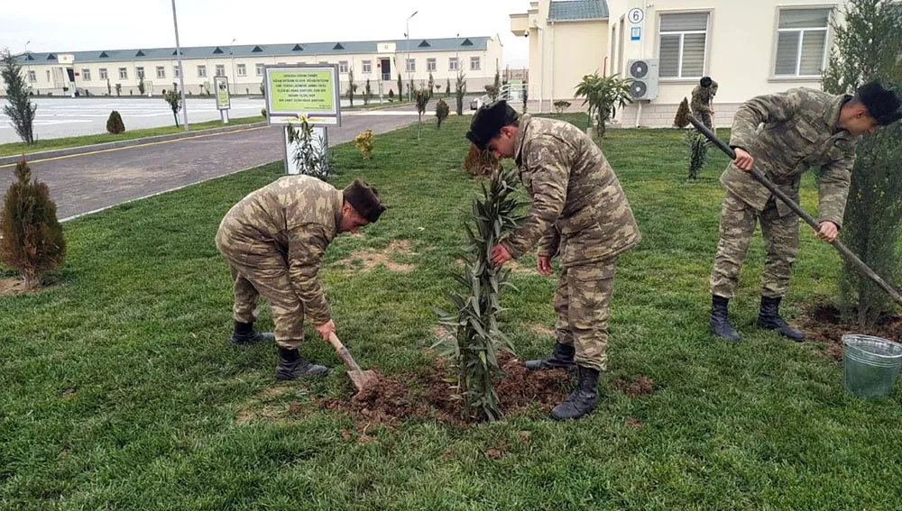 Azərbaycan Ordusunda ağacəkmə aksiyası keçirilir - FOTO