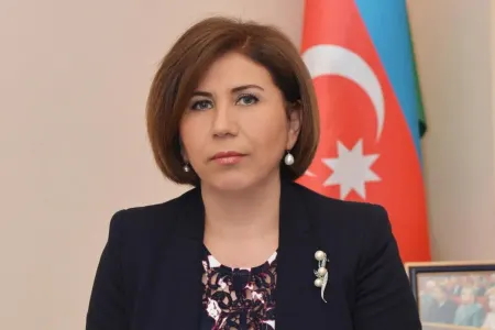 "Hər kəs bir hədəf ətrafında birləşib"- - Bahar Muradova