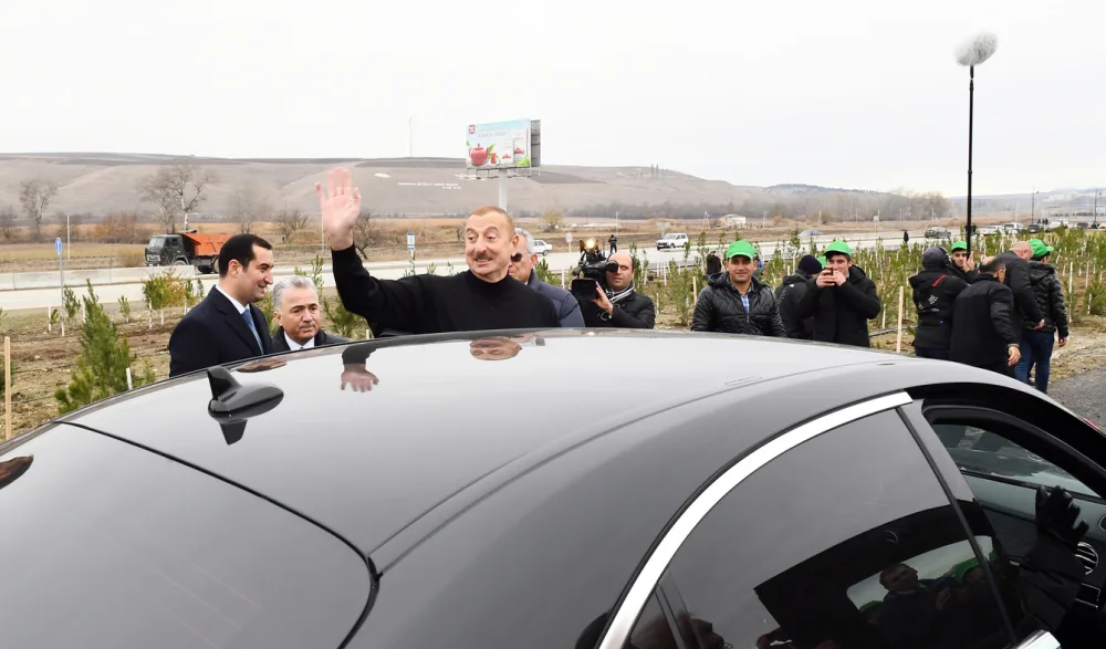 İlham Əliyev və Mehriban Əliyeva Şamaxıda - ağacəkmə aksiyasına qatıldı - FOTOLAR - VİDEO - YENİLƏNDİ