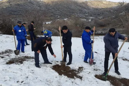“Bir gündə 650 min ağac əkək” kompaniyasına "Azəriqaz" da - QOŞULDU