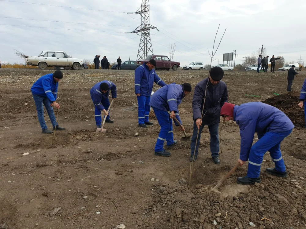 “Bir gündə 650 min ağac əkək” kompaniyasına "Azəriqaz" da - QOŞULDU
