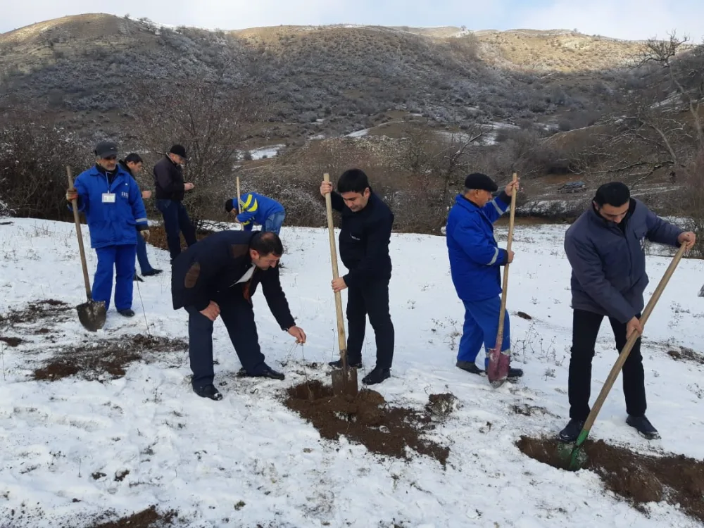 “Bir gündə 650 min ağac əkək” kompaniyasına "Azəriqaz" da - QOŞULDU