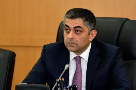 "İnformasiya cəmiyyətinin dəqiq dəyərləndirilməsi üçün..." - RAMİN QULUZADƏ
