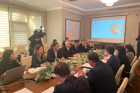 Naftalan şəhərinin turizm inkişaf planı - təqdim olundu