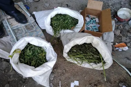 Saatlı sakininin evində - NARKOTİK AŞKARLANDI - FOTO