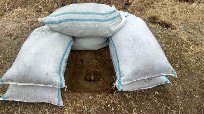Ağstafada 2 əl qumbarası - TAPILDI - FOTO
