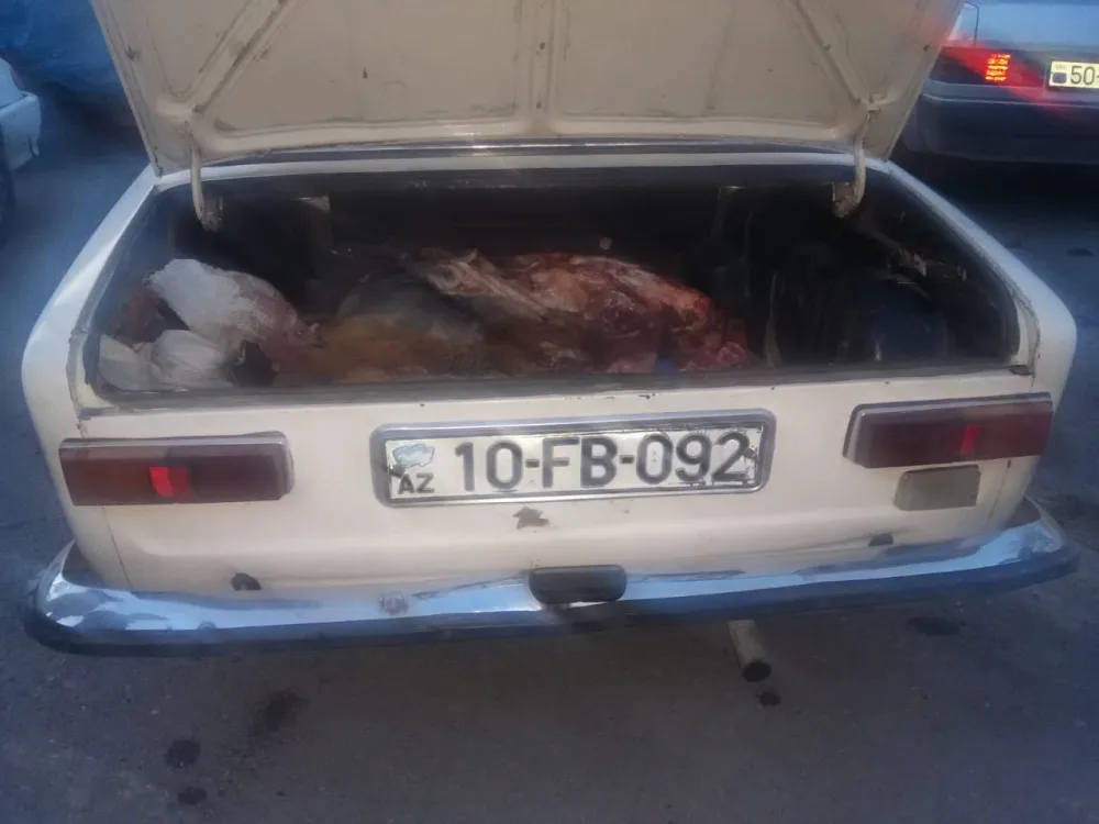 Avtomobildə 45 kiloqram at əti - AŞKARLANDI - FOTO