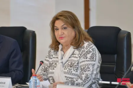 Dövlət Komitəsinin sədri: - "Alimentin, atalığın müəyyənləşməsi ilə bağlı müraciətlər artır"