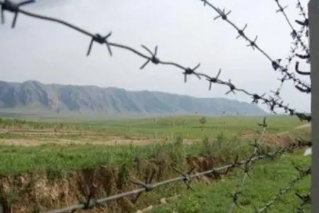 Bu il dövlət sərhədini pozan 739 nəfər - SAXLANILIB