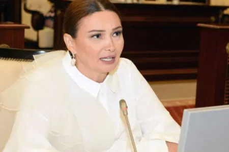 "ABŞ Senatınnın qərarını pisləyir, qərəzli və ədalətsiz hesab edirik" - Qənirə Paşayeva