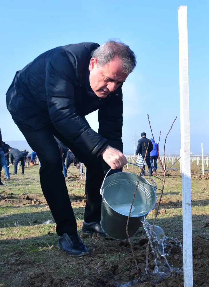 Ceyhun Bayramov ağac əkdi - FOTOLAR