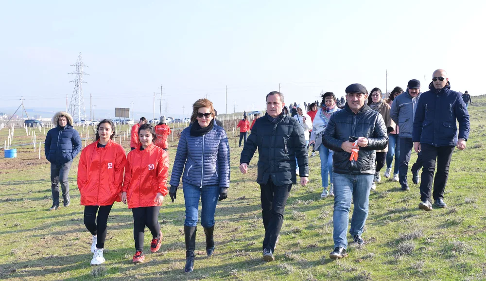 Ceyhun Bayramov ağac əkdi - FOTOLAR