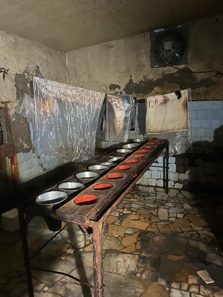 Daha bir quş əti emalı sexinin - FƏALİYYƏTİ DAYANDIRILDI - FOTO