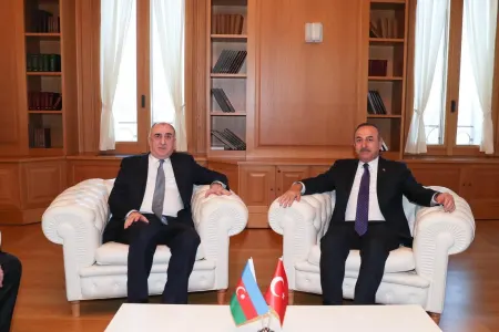 Elmar Məmmədyarov Çavuşoğlu ilə görüşdü
