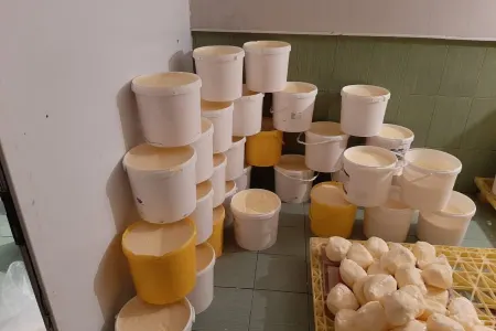 Aldığımız südün içindən görün, nə çıxdı?