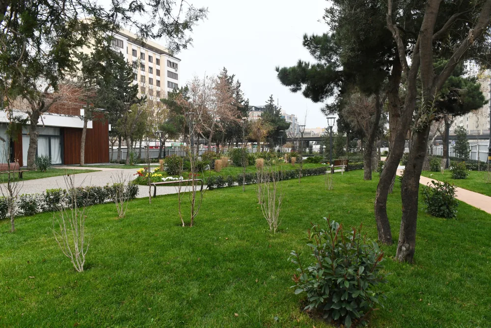 İlham Əliyev parkda aparılan yenidənqurma işləri ilə - TANIŞ OLDU
