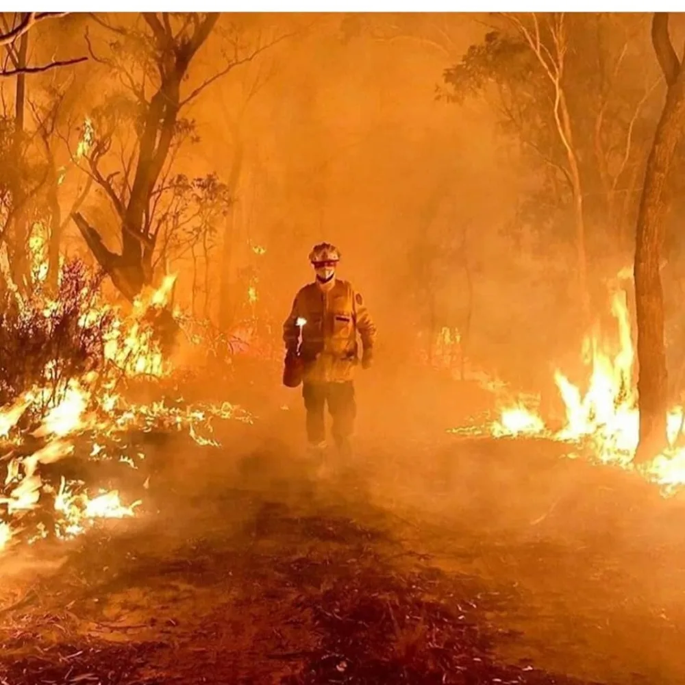 Yarım milyard heyvanın öldüyü, 6 milyon hektar meşənin yandığı - AVSTRALİYADAN FOTOLAR