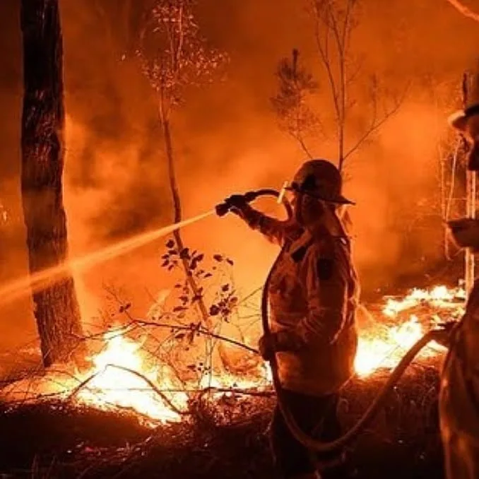 Yarım milyard heyvanın öldüyü, 6 milyon hektar meşənin yandığı - AVSTRALİYADAN FOTOLAR
