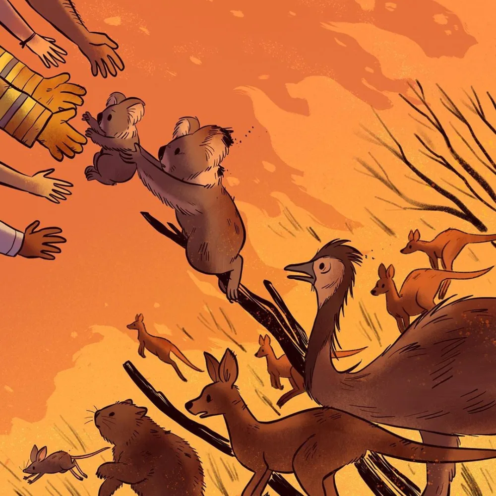 Yarım milyard heyvanın öldüyü, 6 milyon hektar meşənin yandığı - AVSTRALİYADAN FOTOLAR