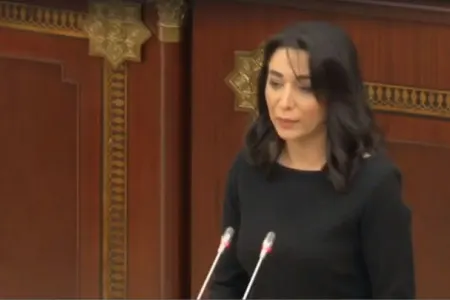 Ombudsman Nərminin qətli ilə bağlı Baş prokurora müraciət etdi