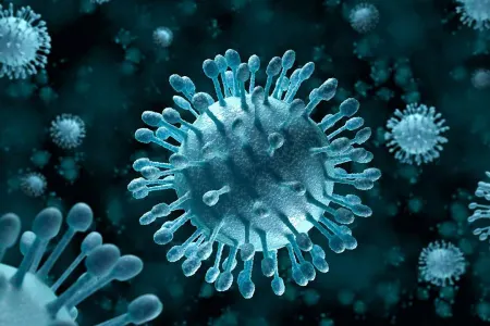 Pnevmoniyaya yoluxduran - yeni virus aşkarlandı