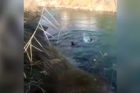 İntihar edən qadının qarşısı belə alındı
