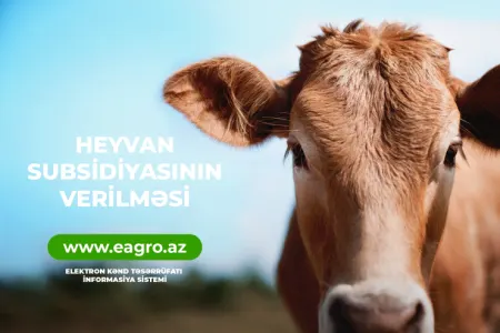 Heyvandarlıq sahəsində subsidiyalar EKTİS-SİS - VASİTƏSİLƏ VERİLƏCƏK