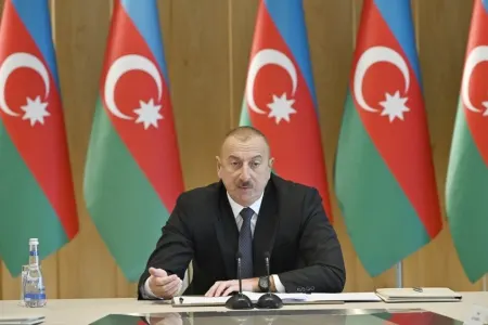 "Gömrük sahəsində islahatlar davam etdiriləcək" - Dövlət başçısı