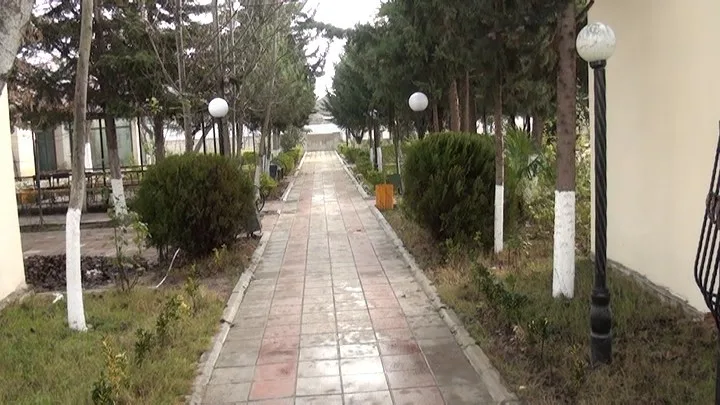 Salyanda kütləvi dava - 2 NƏFƏR BIÇAQLANDI
