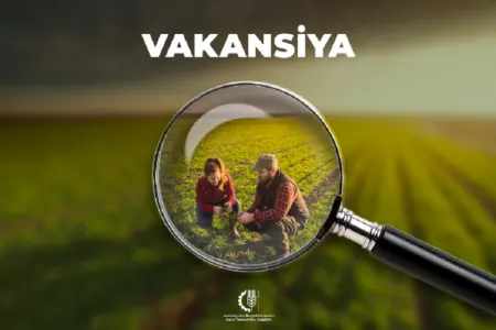 Nazirlik 435 vakant vəzifə üzrə - işə qəbul elan etdi