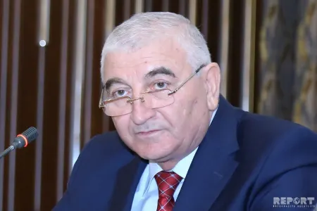 Milli Məclisə seçkilərlə əlaqədar 77 beynəlxalq müşahidəçi akkreditasiyadan - KEÇDİ