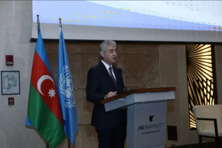 "Azərbaycan ərazisinin təxminən 20 faizinin resurslarından istifadə edilməməsi ağır sosial yükdür" - ƏLİ ƏHMƏDOV