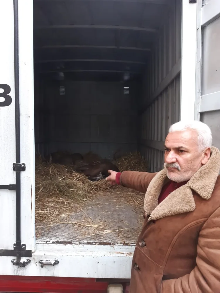 Maralı satmaq istəyən şəxs - TUTULDU - FOTO