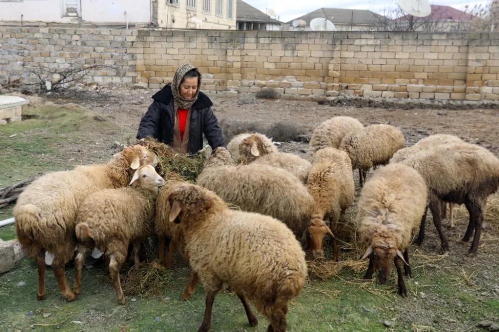 Sahil Babayev Salyanda vətəndaşları - QƏBUL ETDİ - FOTO