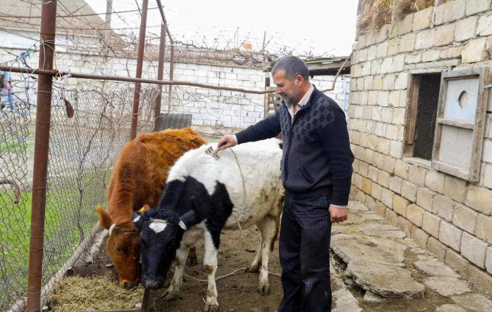 Sahil Babayev Salyanda vətəndaşları - QƏBUL ETDİ - FOTO