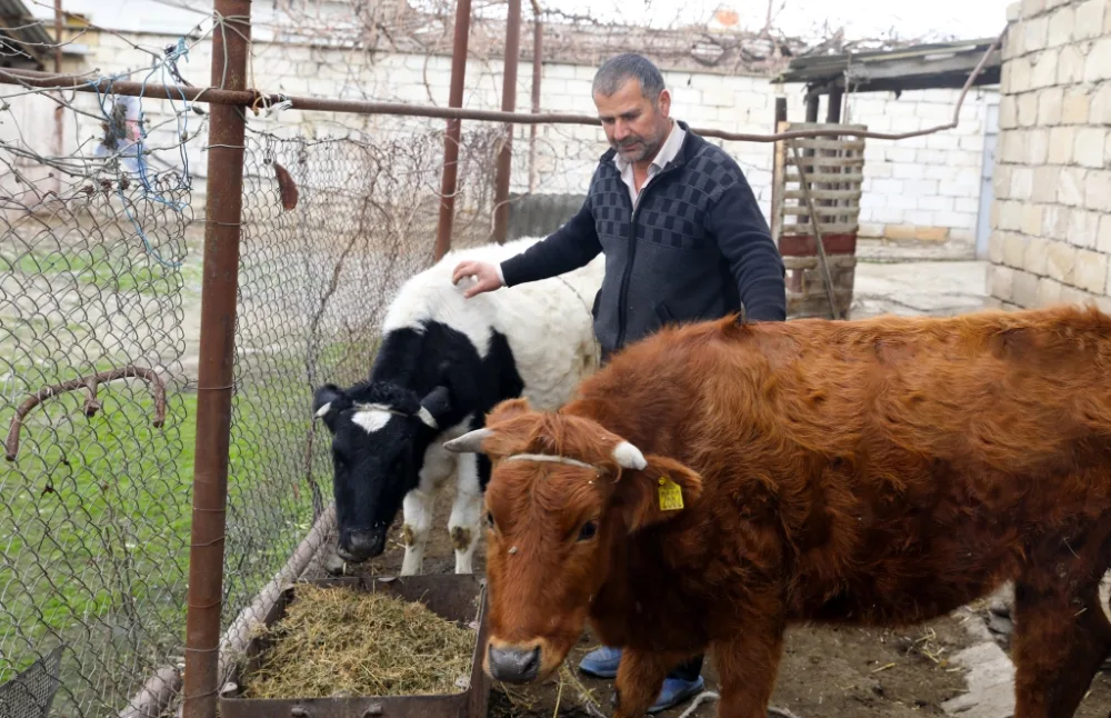 Sahil Babayev Salyanda vətəndaşları - QƏBUL ETDİ - FOTO