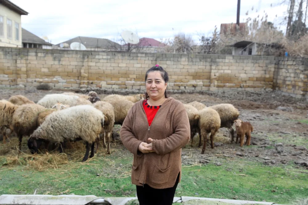 Sahil Babayev Salyanda vətəndaşları - QƏBUL ETDİ - FOTO
