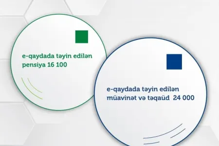 Elektron qaydada pensiya təyin edilən şəxslərin - SAYI AÇIQLANDI
