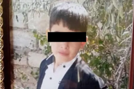 İt dişləməsindən sonra ölən uşaqla bağlı - Rəsmi açıqlama