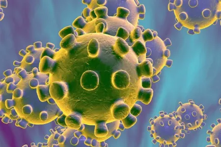 Koronavirus: Peyvənd hazırlanır – - ELM ADAMLARI TARİXİ AÇIQLADI