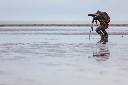 Heydər Əliyev Fondu Azərbaycana həsr olunan yeni nəşrlər hazırlayır - FOTOLAR