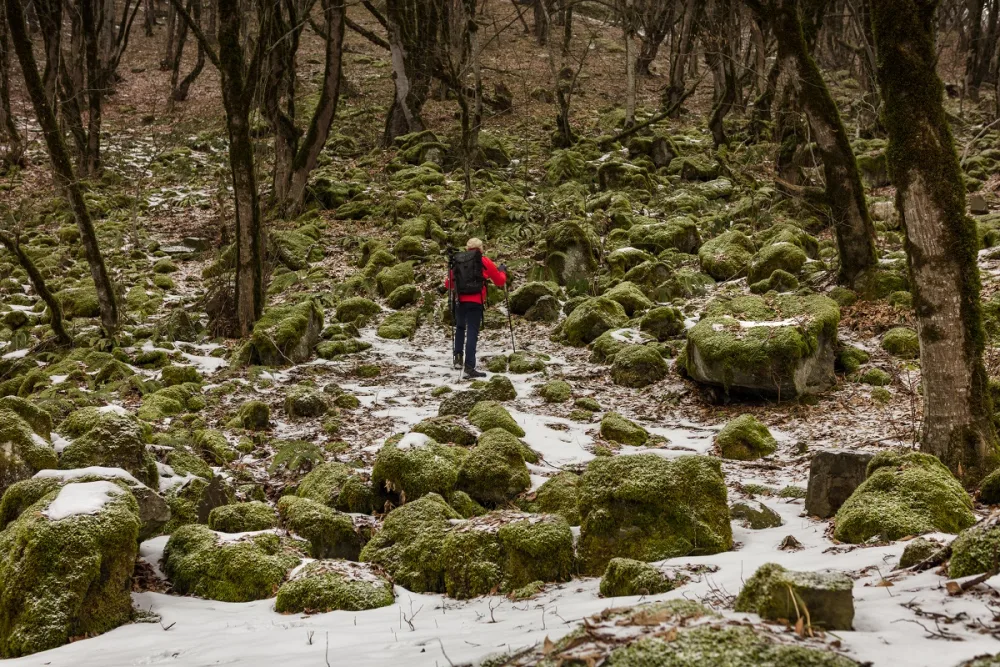 Heydər Əliyev Fondu Azərbaycana həsr olunan yeni nəşrlər hazırlayır - FOTOLAR