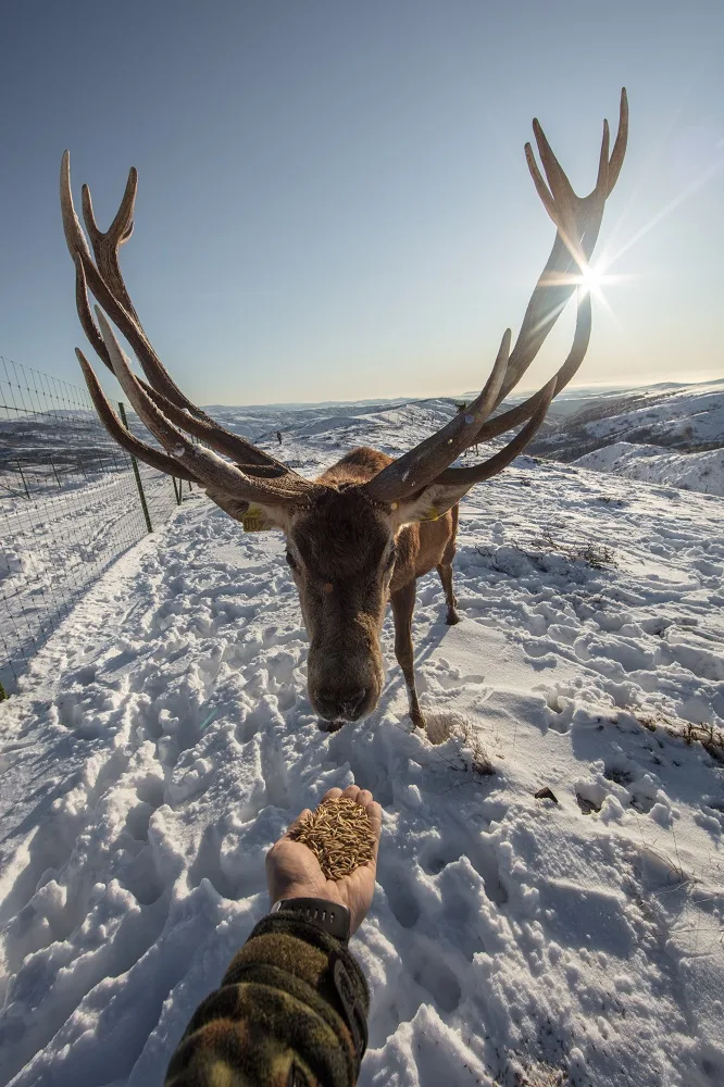 Heydər Əliyev Fondu Azərbaycana həsr olunan yeni nəşrlər hazırlayır - FOTOLAR