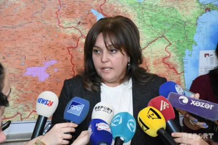 “Qış fəslinin isti keçməsi, yayda anomal istləşmə olacağına dəlalət eləmir” - Umayra Tağıyeva