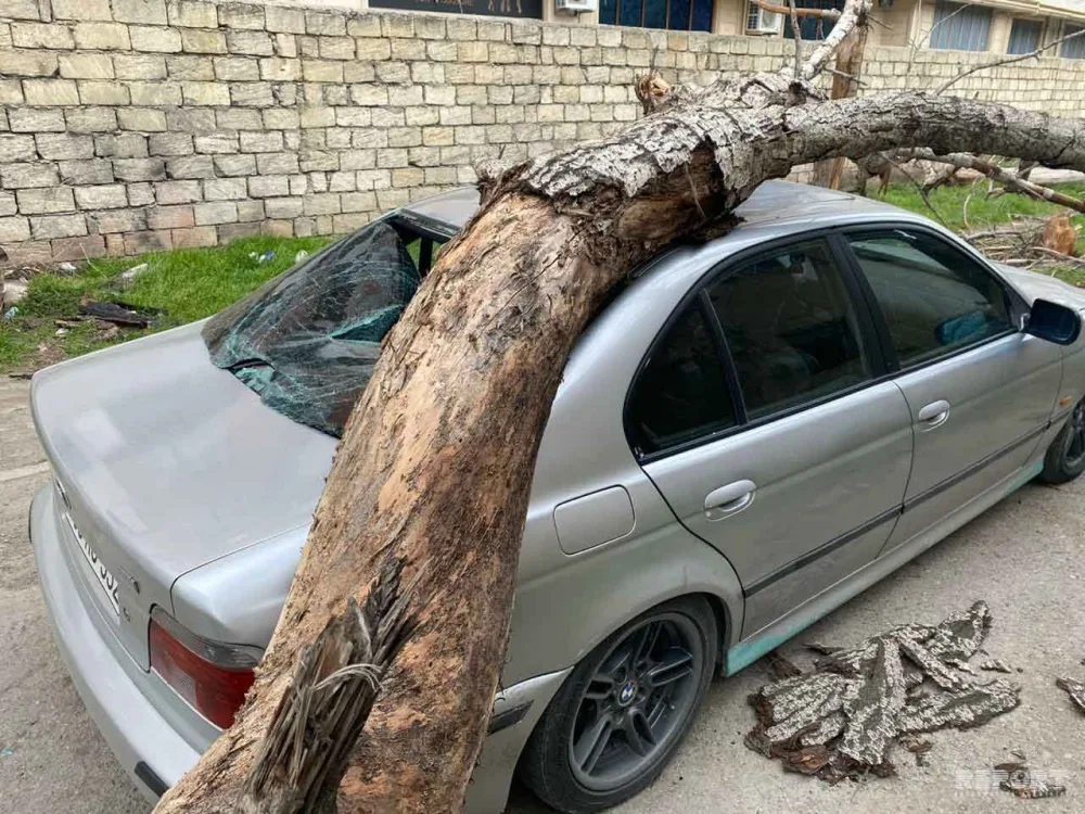 Bakıda xəstəxananın həyətində avtomobilin üzərinə - AĞAC DÜŞDÜ - FOTO