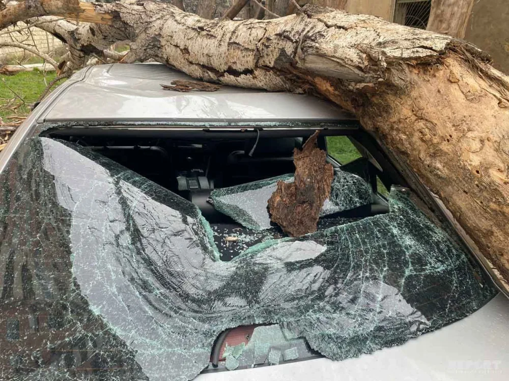 Bakıda xəstəxananın həyətində avtomobilin üzərinə - AĞAC DÜŞDÜ - FOTO