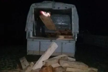 Lerikdə meşə materiallarını daşıyan şəxs - SAXLANILDI - FOTO